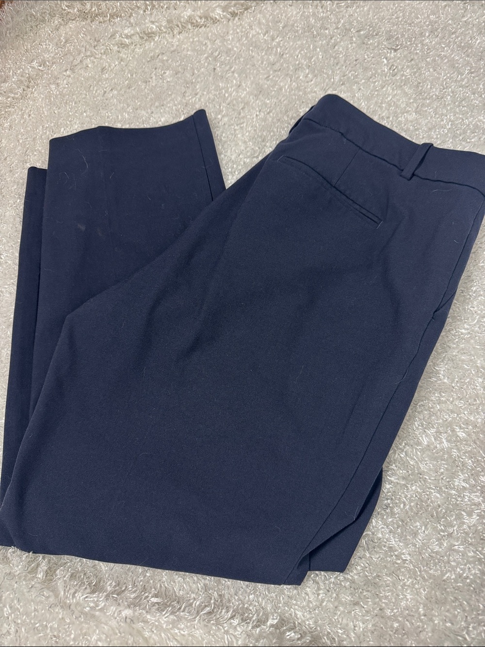 Ann Taylor 16 petite navy pants
